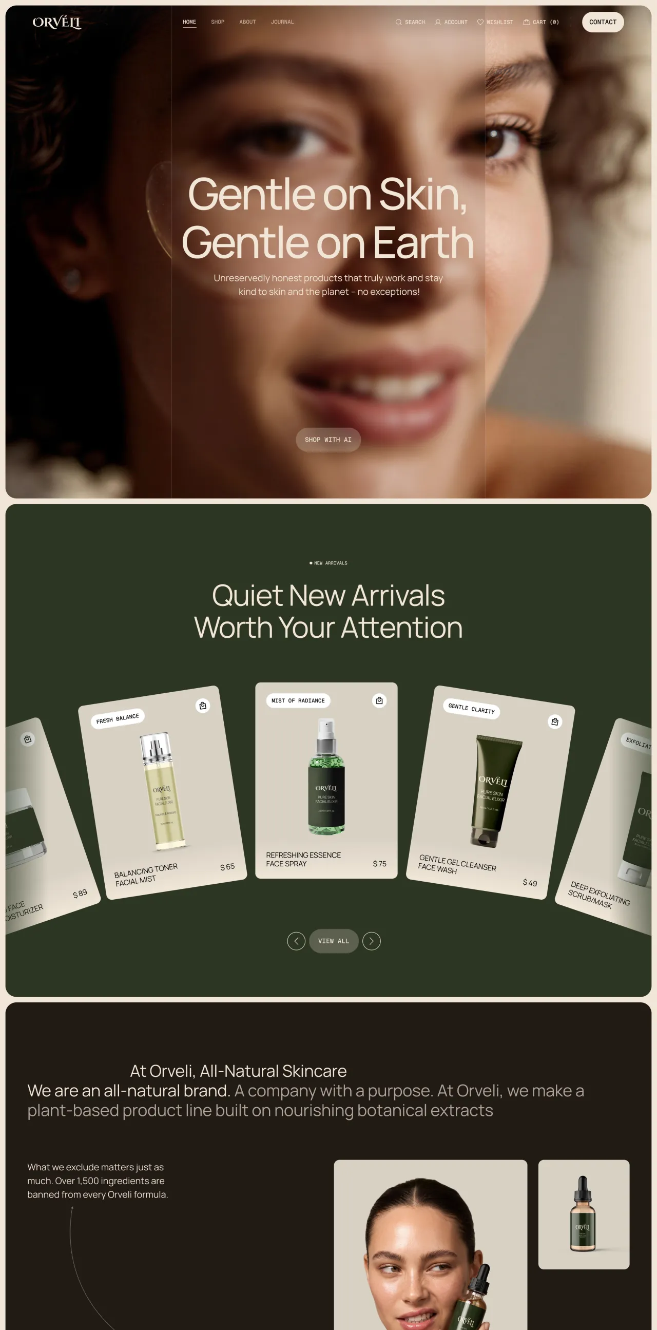 Orveli website template homepage and section layouts